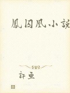 凤囚凰小说