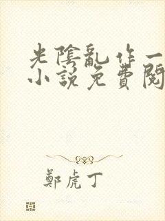 光阴乱作一团的小说免费阅读