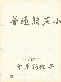 普通朋友小说