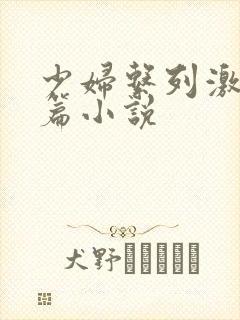 少妇系列激情短篇小说