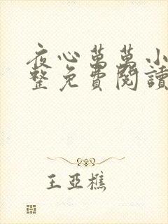 夜心万万小说完整免费阅读全文