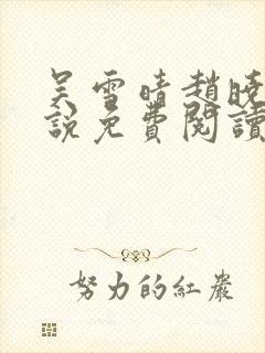 吴雪晴赵晓东小说免费阅读