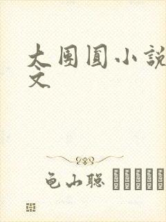 大团圆小说集全文