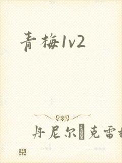青梅1v2
