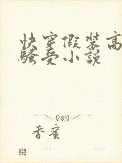 快穿假装高冷的骚受小说