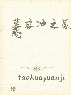 慕容冲之凤凰于飞