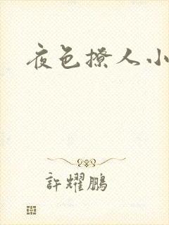 夜色撩人小说