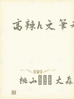 高辣h文笔趣阁