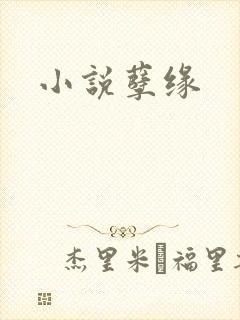 小说孽缘
