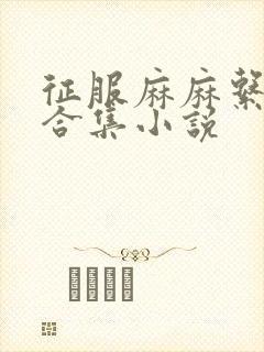 征服麻麻系列大合集小说