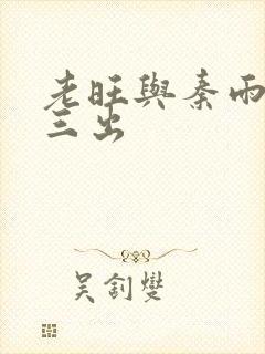 老旺与秦雨三进三出