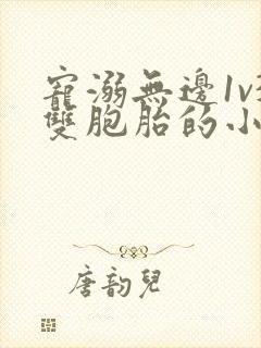 宠溺无边1v3双胞胎的小说