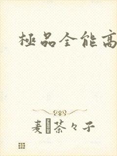 极品全能高手