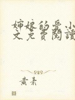 婶娘的爱小说全文免费阅读