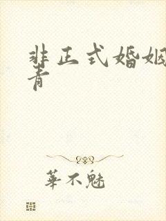 非正式婚姻雾里青