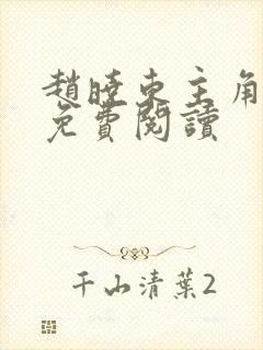 赵晓东主角小说免费阅读