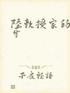 陆教授家的小月牙