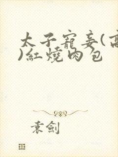 太子宠妾(高肉)红烧肉包