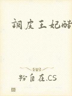 调皮王妃酷王爷