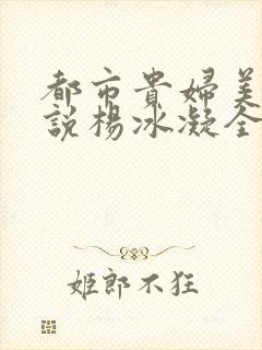 都市贵妇美腿小说杨冰凝全文阅读