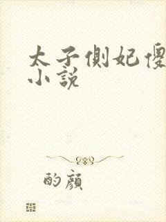 太子侧妃傻乎乎小说