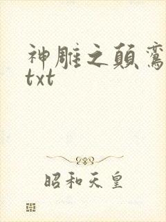 神雕之颠鸾倒凤txt