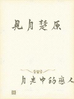见月楚原