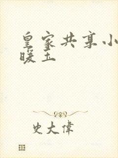 皇家共享小公主暖玉