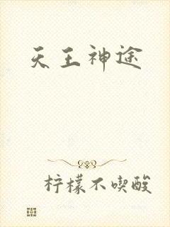 天王神途