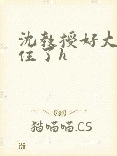 沈教授好大含不住了h