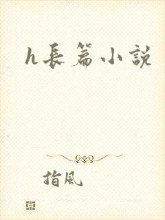 h长篇小说