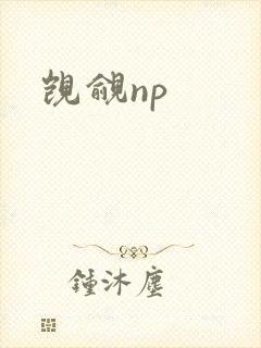 觊觎np