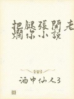 把腿张开老子臊烂你小说