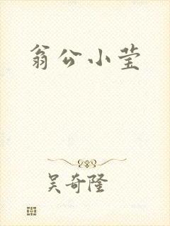 翁公小莹
