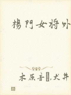 杨门女将外传