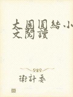 大团圆结小茹全文阅读