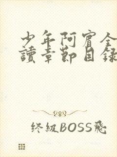 少年阿宾全文阅读章节目录