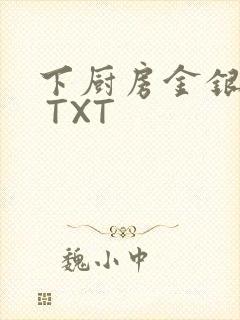 下厨房金银花露 TXT