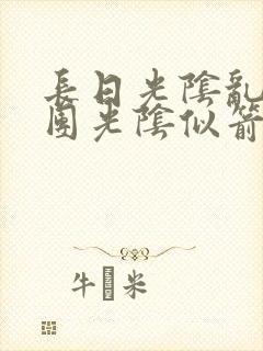 长日光阴乱作一团光阴似箭必读