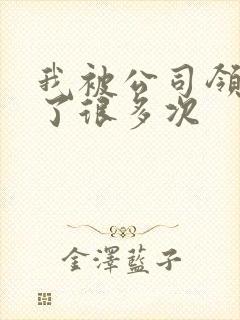 我被公司领导C了很多次