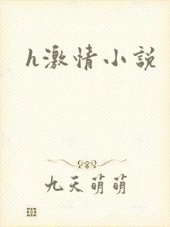 h激情小说