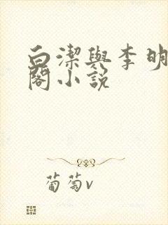 白洁与李明笔趣阁小说