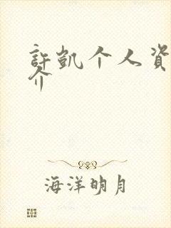 许凯个人资料简介