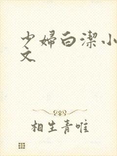 少妇白洁小说全文