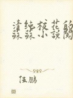 清纯校花的日常苏苏小说阅读全文