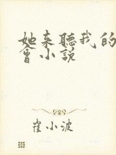 她来听我的演唱会小说