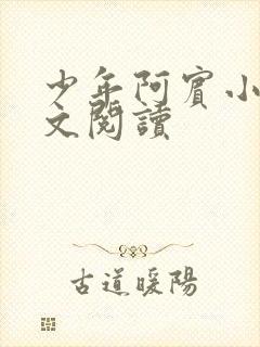 少年阿宾小说全文阅读