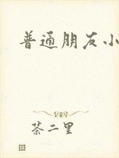 普通朋友小说