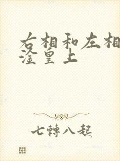 右相和左相一起淦皇上