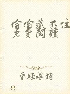 偷偷藏不住小说免费阅读